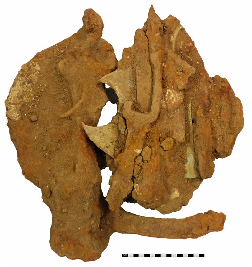 Concretion of tools, soil and iron oxide which contained the find