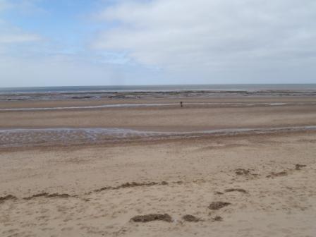 Image of Holme beach peat beds Holme beach peat beds