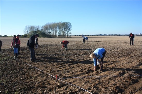 Photo of volunteers field walking