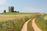 The ruins of St James' church, Bawsey (NHER 3328)